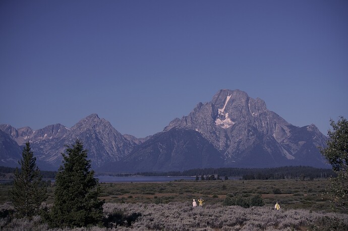 Mt. Moran