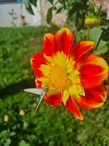 IMG-20241013-WA0000