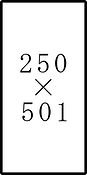 250x501