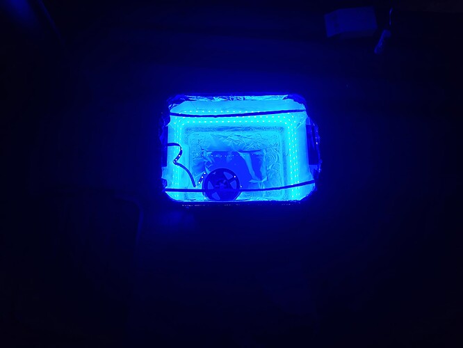 20240527_085239