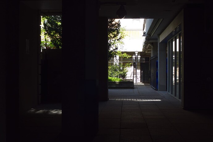 P1020684 (1)
