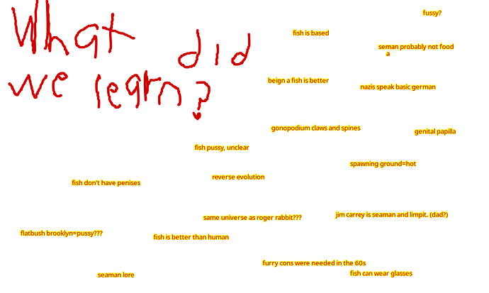 what_did_we_learn