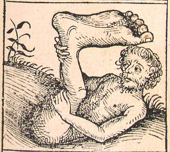 Nuremberg_chronicles_-Strange_People-Umbrella_Foot(XIIr)