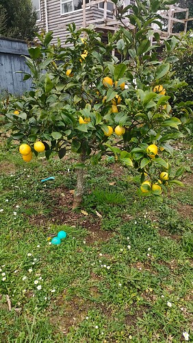 IMG20241026093051