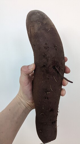 PXL_20250413_205728096