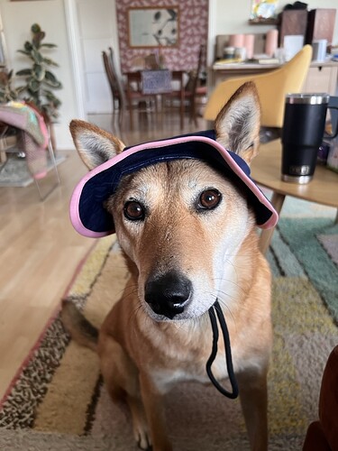 MailDog