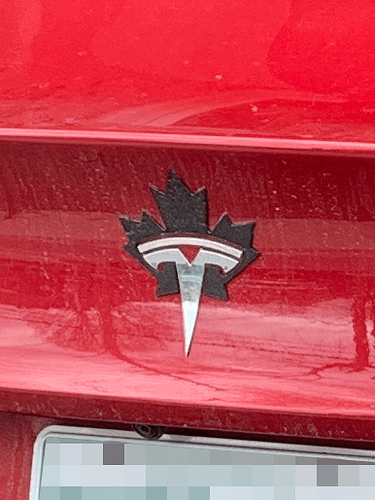 maple leaf tesla detail