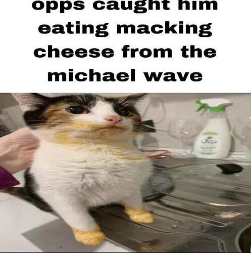 llvu86c7mg3c1