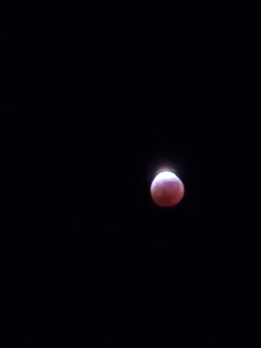 Resized_20250313_232010_1741933241614