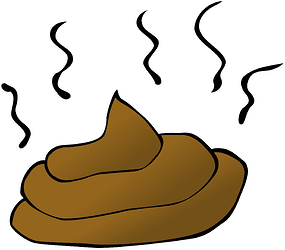 doo