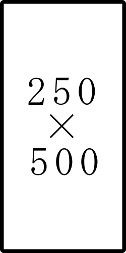 250x500