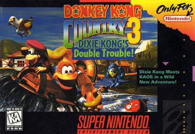 Donkey Kong Country 3 Box Art