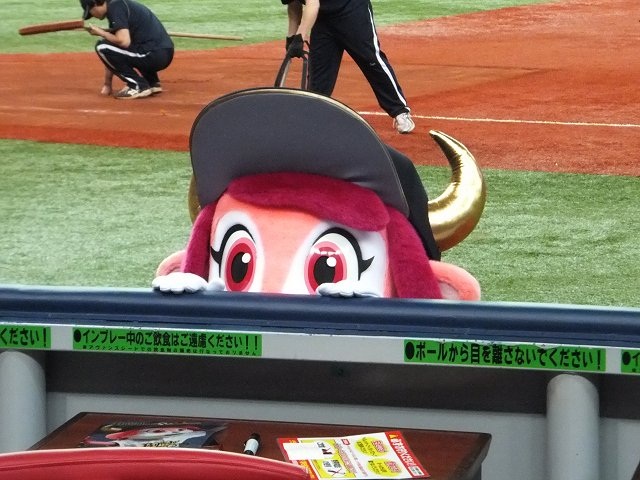 Buffalo Bell